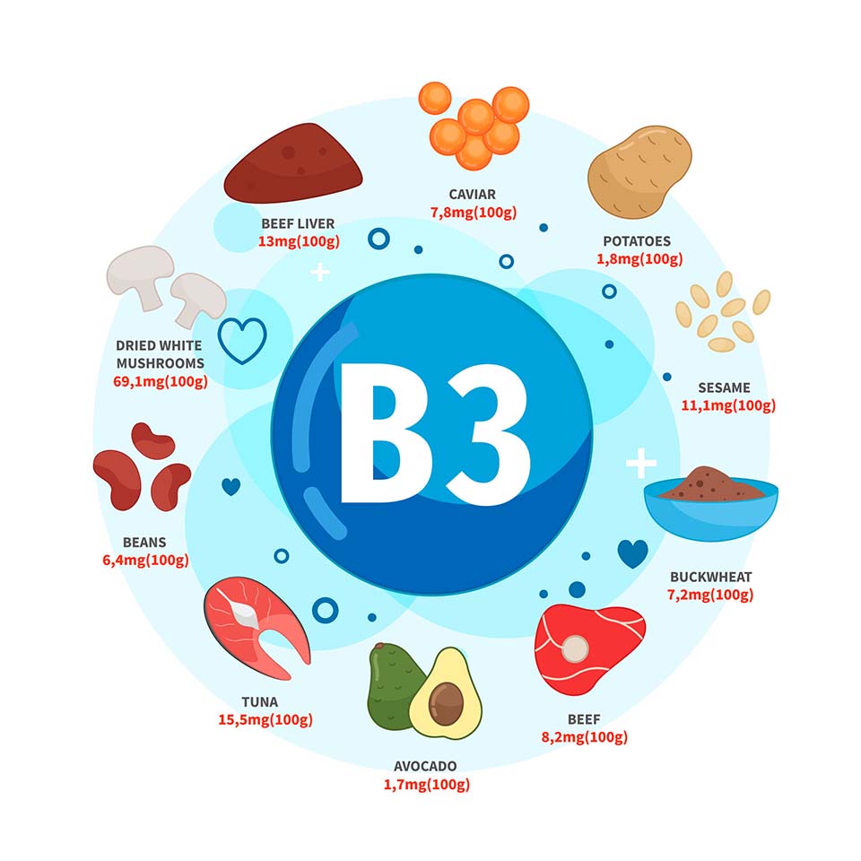 Infographic: Vitamin B3 sources